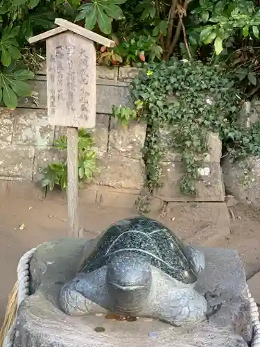 酒列磯前神社の狛犬