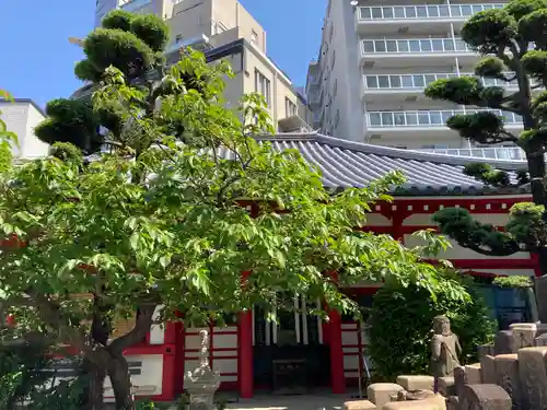 真光院の本殿・本堂