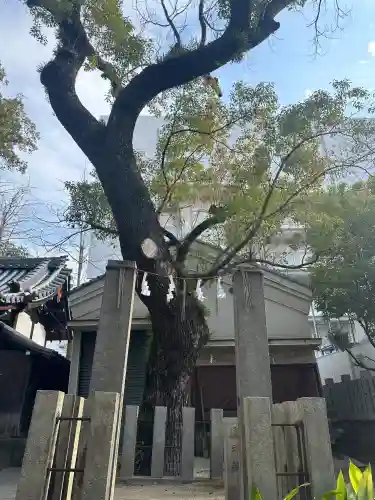 素盞烏尊神社(大阪府)