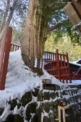 日光二荒山神社中宮祠(栃木県)