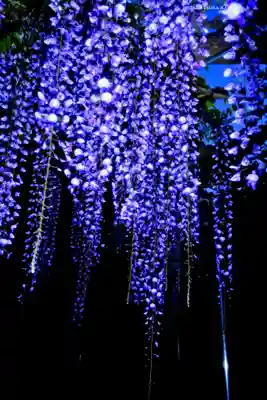 白旗神社(神奈川県)