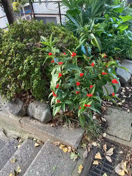 石川町諏訪神社の自然