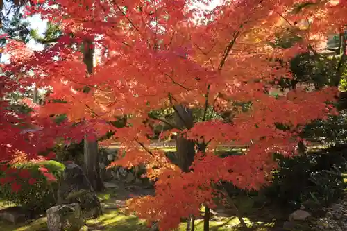 酬恩庵一休寺(京都府)