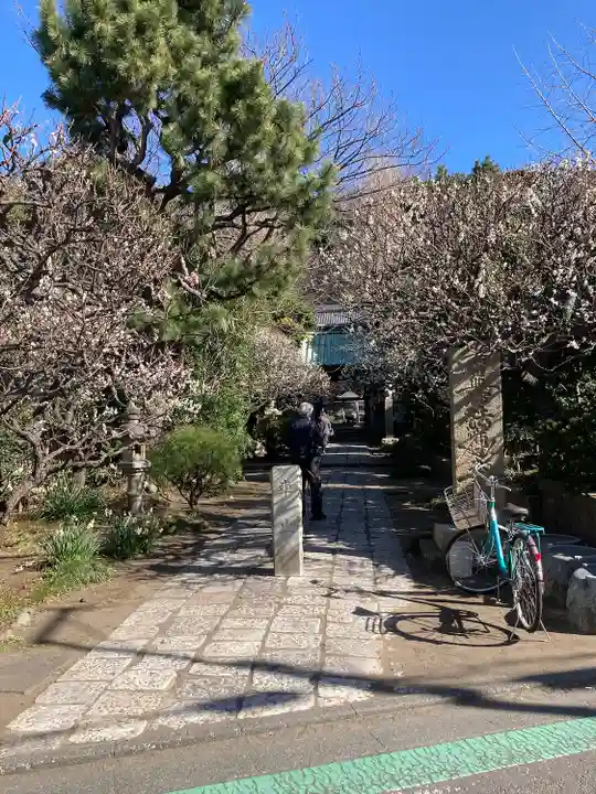 常立寺の山門・神門