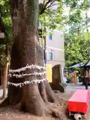 上目黒氷川神社(東京都)