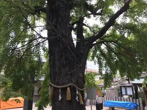 白山神社の自然