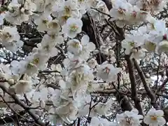 玉眞院玉川大師の庭園