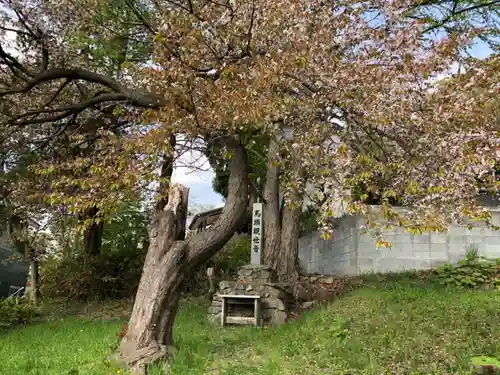 界川神社の自然