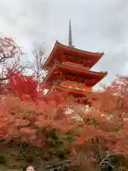 清水寺(京都府)