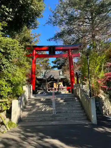 白笹稲荷神社の鳥居