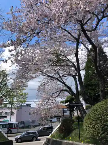 湯倉神社の自然