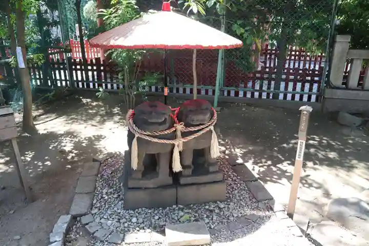 浅草神社の狛犬