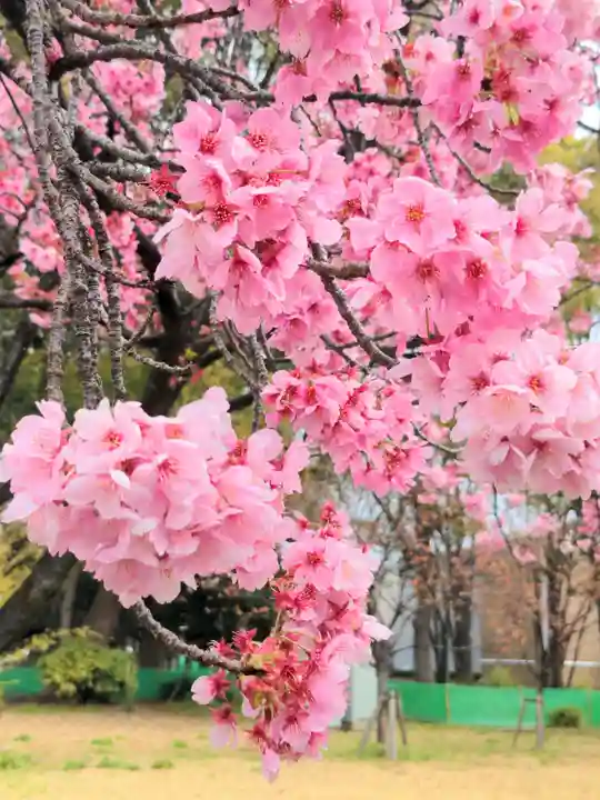 上野東照宮の自然