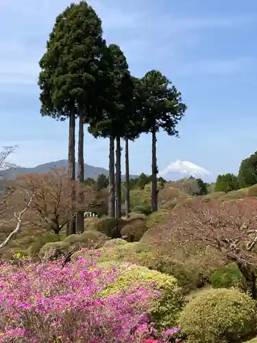 箱根神社(神奈川県)