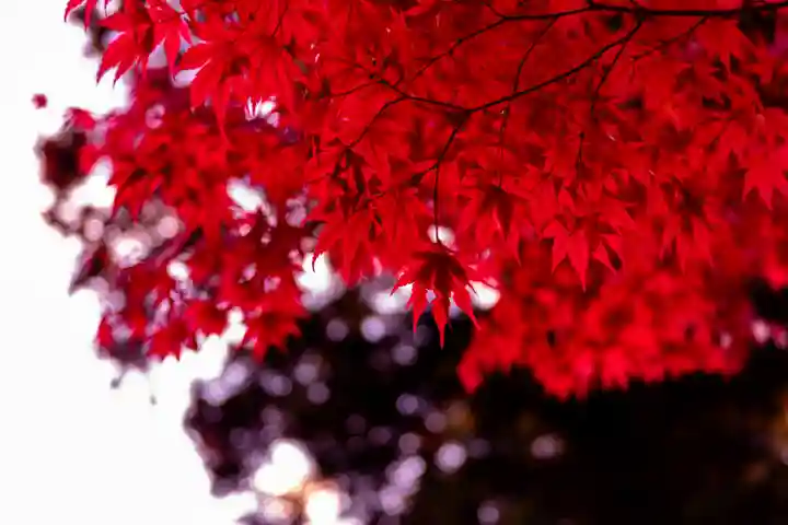 山家神社(長野県)