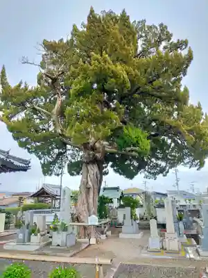 浄永寺(和歌山県)