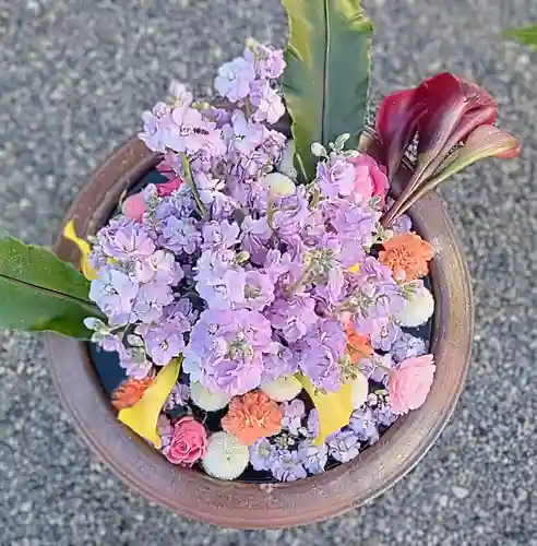 釋迦院（釈迦院）(大阪府)