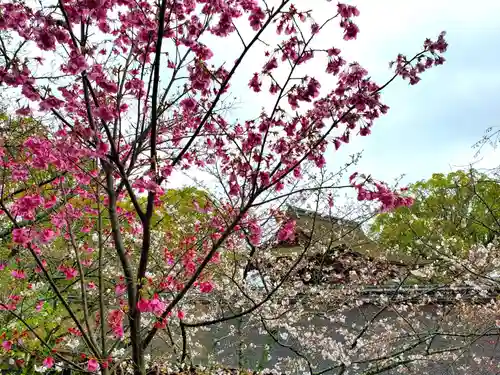 太宰府天満宮の自然
