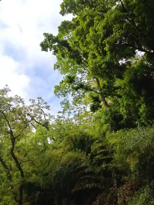 刺田比古神社(和歌山県)