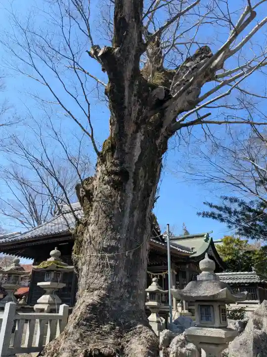 長岡神社の{uncategorized: "未分類", other: "その他", undefined: "問題あり", building: "その他建物", grave: "お墓", sacred_gate: "鳥居", guardian: "狛犬", statue: "像", buddha: "仏像", history: "歴史", nature: "自然", garden: "庭園", animal: "動物", pagoda: "塔", temizu: "手水舎", mountain_gate: "山門・神門", sanctuary: "本殿・本堂", subordinate: "末社・摂社", art: "芸術", scenery: "景色", jizo: "地蔵", ema: "絵馬", goshuin: "御朱印", omikuji: "おみくじ", items: "授与品その他", amulet: "お守り", goshuincho: "御朱印帳", eats: "食事", festival: "お祭り", votive_dance: "神楽", shichigosan: "七五三参", wedding: "結婚式", experience: "体験その他", initially: "初詣", around: "周辺", anti_infection: "感染症対策"}