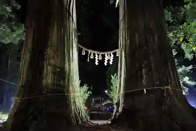 夏井諏訪神社の景色