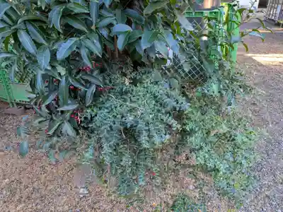 鹿島神宮(茨城県)