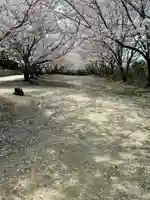 貴船神社の自然