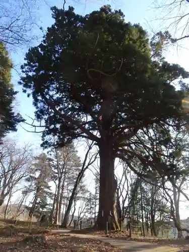 白河神社(福島県)
