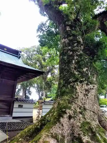 溝口竃門神社の自然
