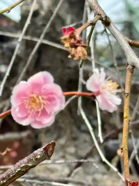 神吉八幡神社(兵庫県)