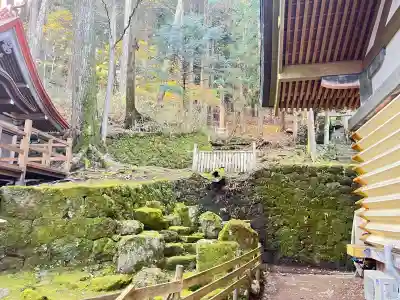 諏訪大社(長野県)