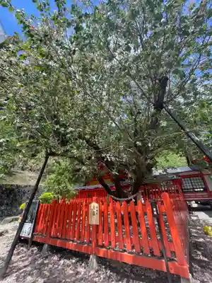 金櫻神社(山梨県)