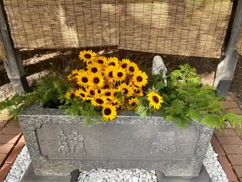 錦山天満宮の手水舎