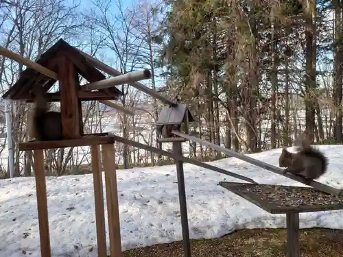 八幡神社(北海道)