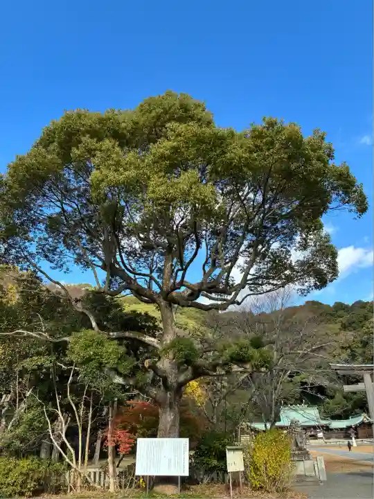 靜岡縣護國神社(静岡県)