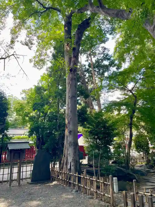 大國魂神社(東京都)