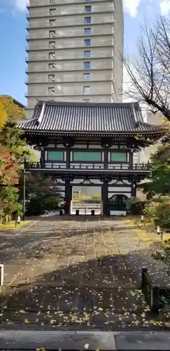 青松寺の山門