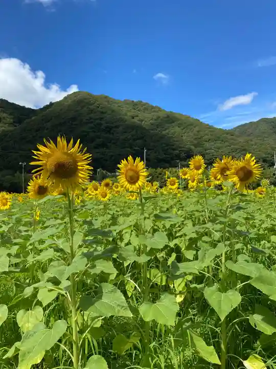 天神社(岡山県)