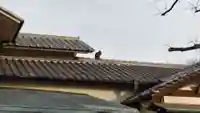 寿昌寺(壽昌寺)の動物