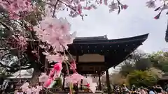 平野神社(京都府)