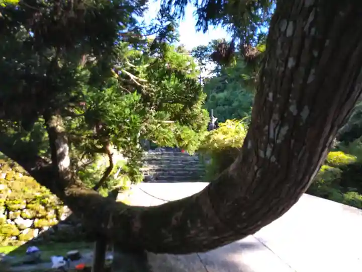 日吉大社(滋賀県)