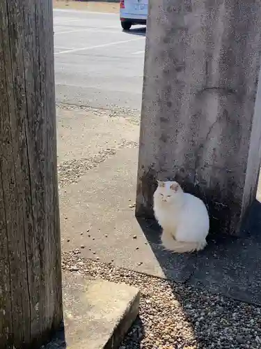 鎌数伊勢大神宮の動物