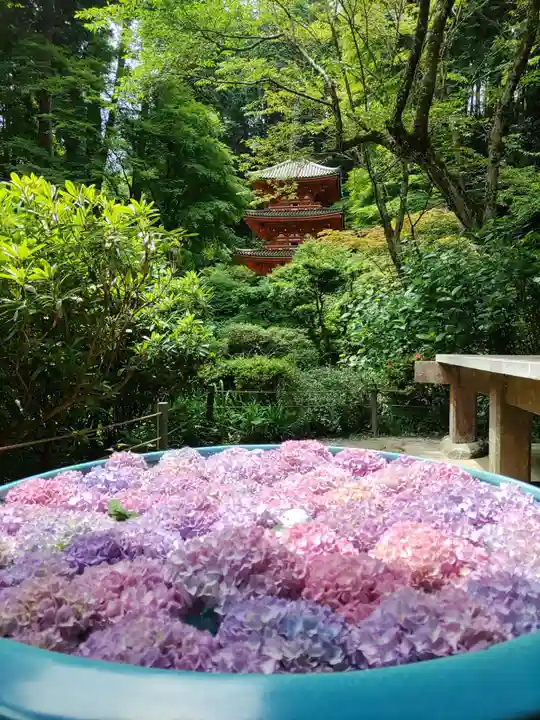 岩船寺(京都府)