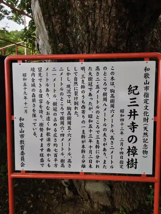 金剛宝寺(紀三井寺)(和歌山県)