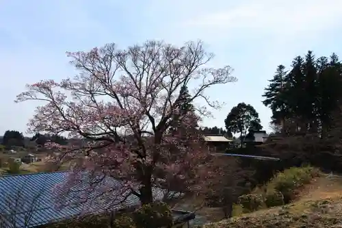 長屋神社の景色