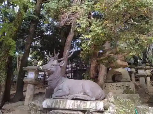 春日大社の狛犬