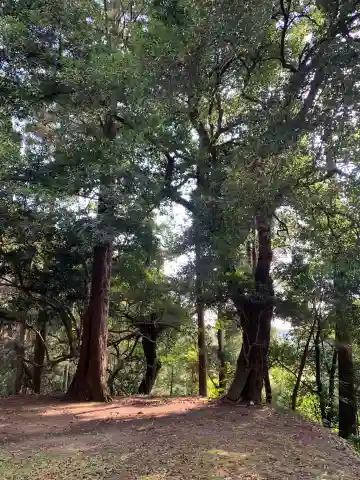 熊野神社(千葉県)
