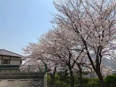 原江寺(山口県)