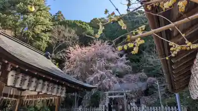 大豊神社(京都府)