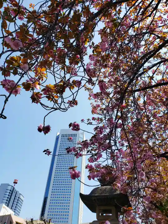 荘厳寺(東京都)